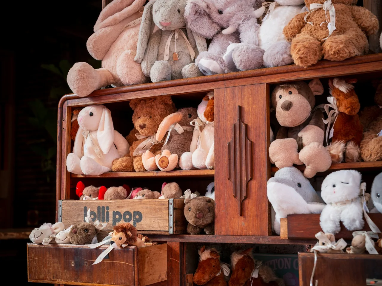 A collection of stuffed animals on wooden shelves